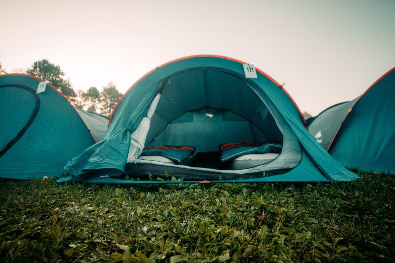 The Esn Kingsday Campsite Amsterdam Eksteriør billede